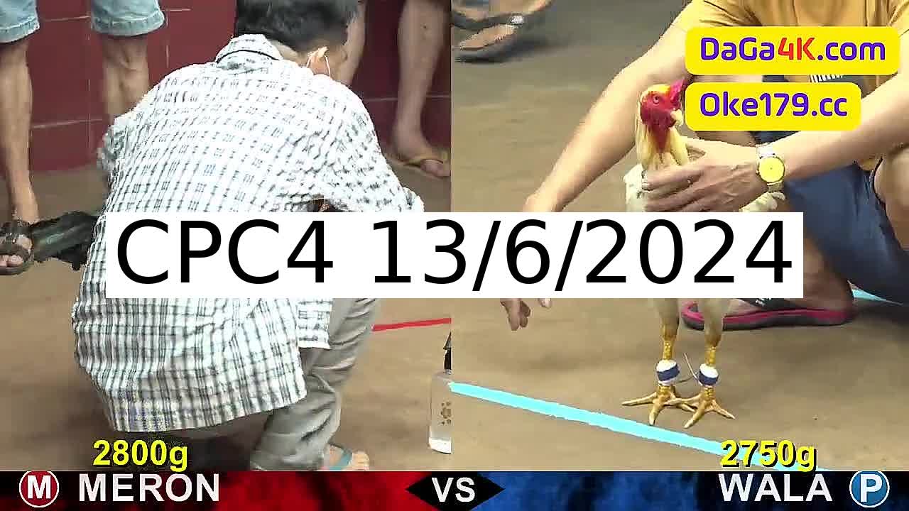 Full 27 Trận - Video đá gà trực tiếp CPC4 Campuchia ngày 13/6/2024