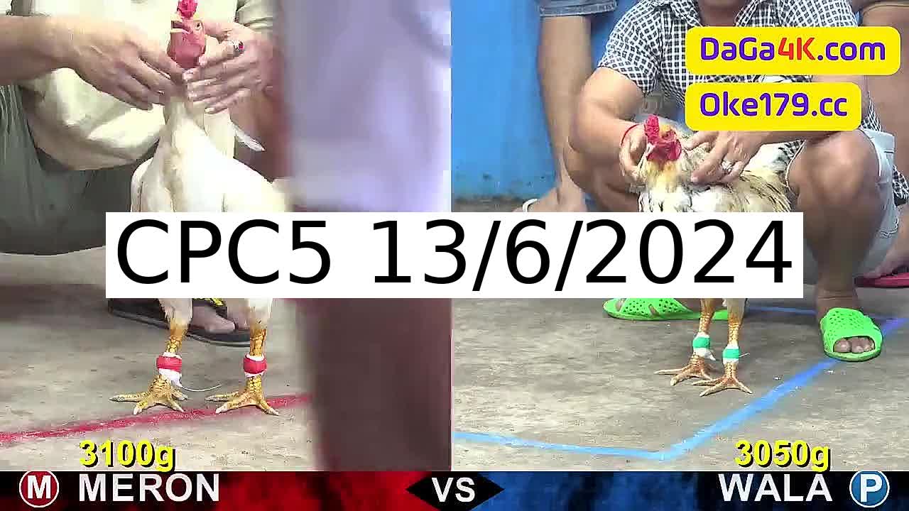 Full 16 Trận - Video đá gà trực tiếp CPC5 Campuchia ngày 13/6/2024