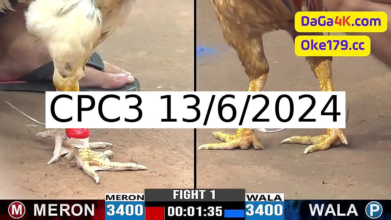 Full 63 Trận - Video đá gà trực tiếp CPC3 Campuchia ngày 13/6/2024