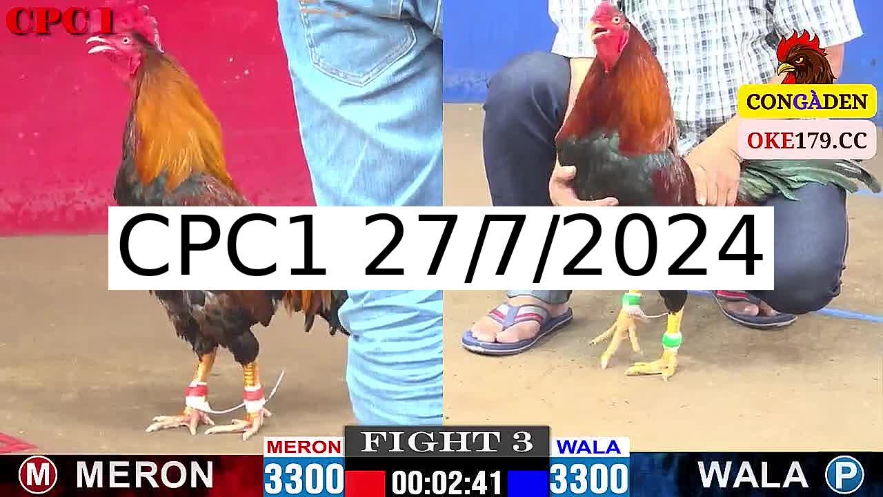 Full 27 Trận - Video đá gà trực tiếp Thomo Campuchia ngày 27/7/2024