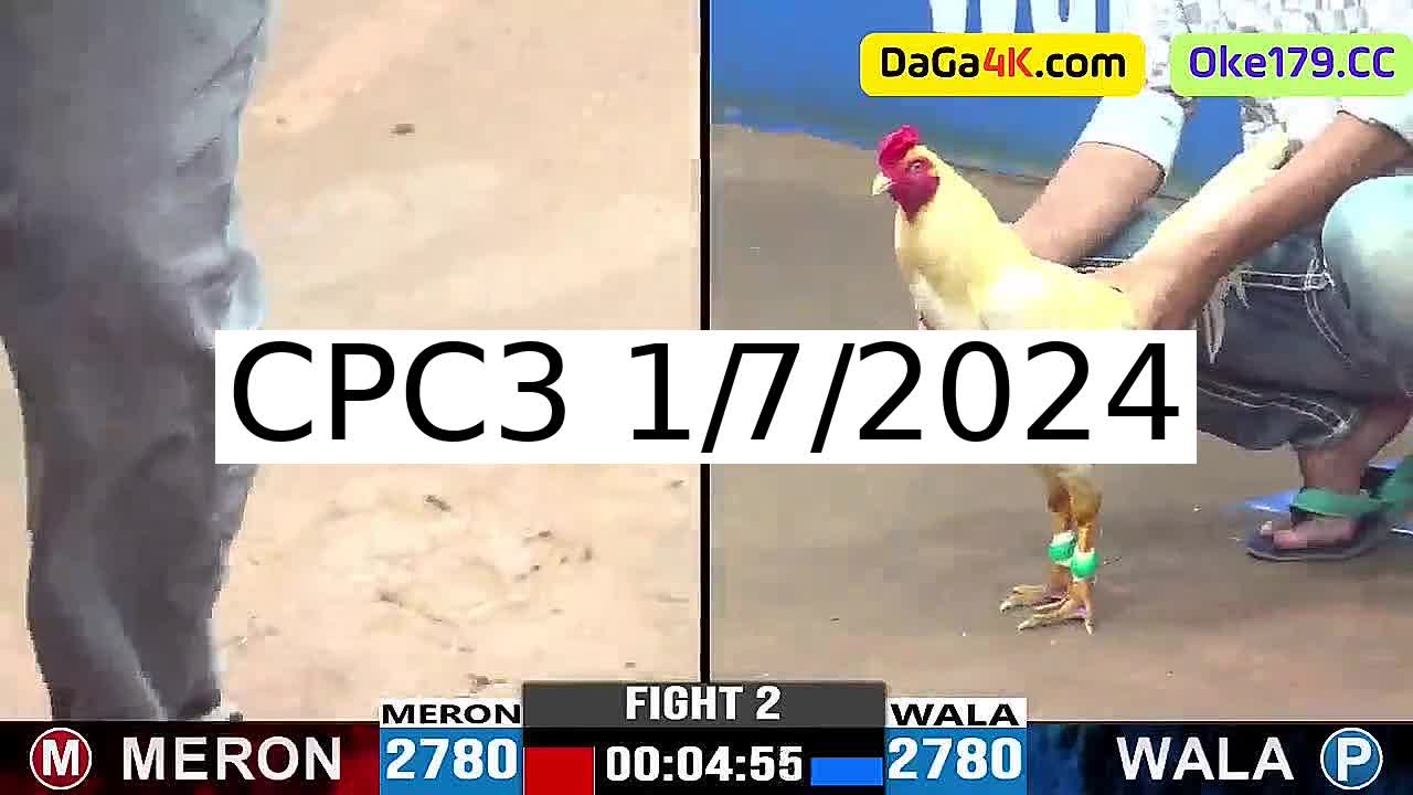 Full 28 Trận - Video đá gà trực tiếp CPC3 Campuchia ngày 1/7/2024