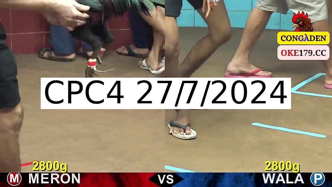 Full 26 Trận - Video đá gà trực tiếp CPC4 Campuchia ngày 27/7/2024