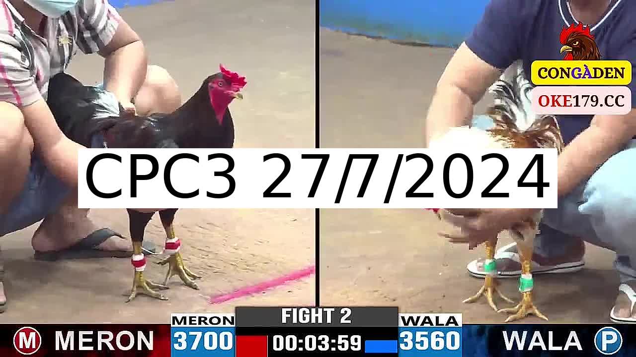Full 35 Trận - Video đá gà trực tiếp CPC3 Campuchia ngày 27/7/2024