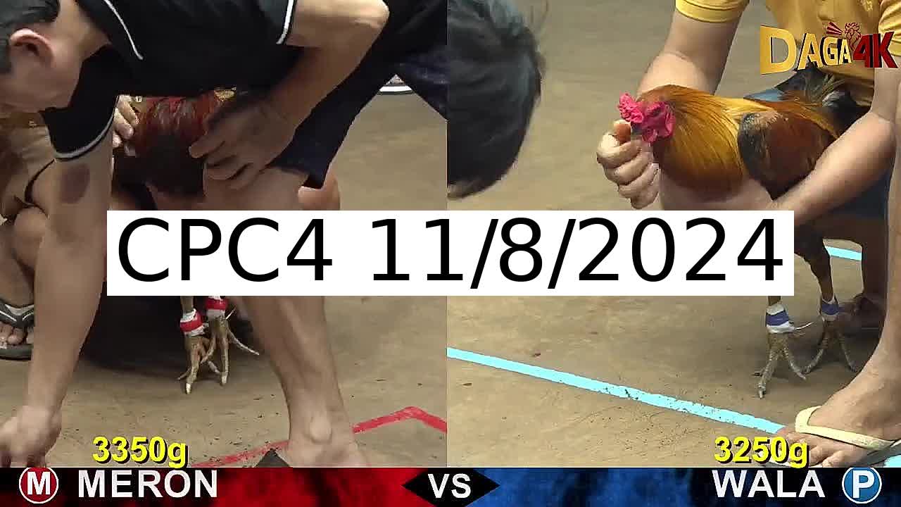 Full 25 Trận - Video đá gà trực tiếp CPC4 Campuchia ngày 11/8/2024