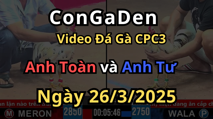 Thái Mỹ chấp 1 chấm lên cước cái té ngửa CPC3 26/3/2025