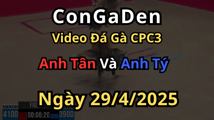 Xanh chấp 2 chấm đá đỏ bay con sh CPC3 29/4/2025