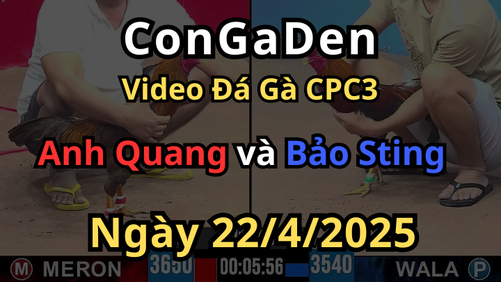Bảo Sting ra quân ở đại hội CPC3 ngày 22/4/2025