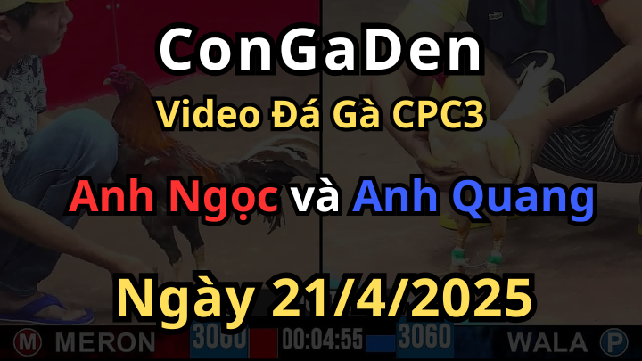 Mỹ rặc đá thái mỹ không còn manh giáp CPC3 21/4/2025