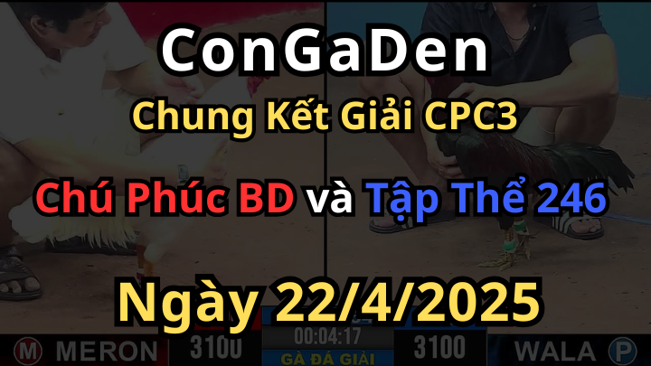 Trận chung kết Đẳng cấp của Chú Phúc Bình Dương Và Tập Thể 246 tại CPC3 ngày 22/4/2025