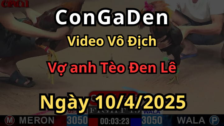 Vợ anh Tèo Đen Lê Đăng Cai cúp vô địch Sư Kê Nữ lần 1 CPC1 ngày 10/4/2025