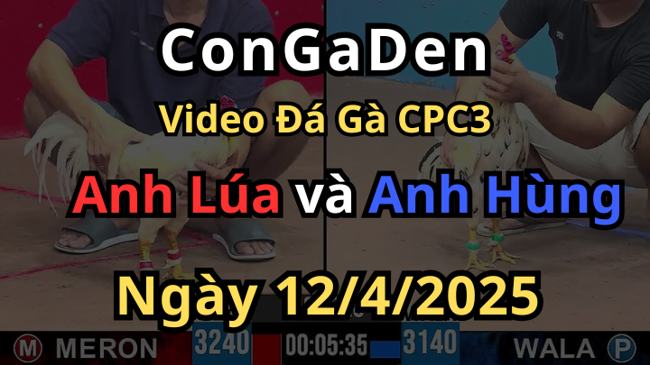 Gà Hiệu mà gặp hiệu hơn thì chỉ có nước thua CPC3 12/4/2025