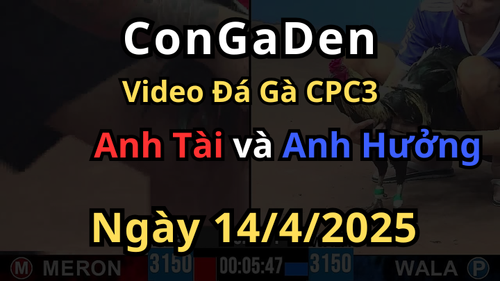 Gà bình dương đúng lạ lật kèo phút 90 kéo anh em đi luôn CPC3 14/3/2025
