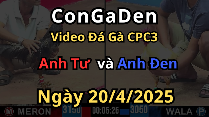 Anh Đen mở bát mượt như sunsilk CPC3 20/4/2025