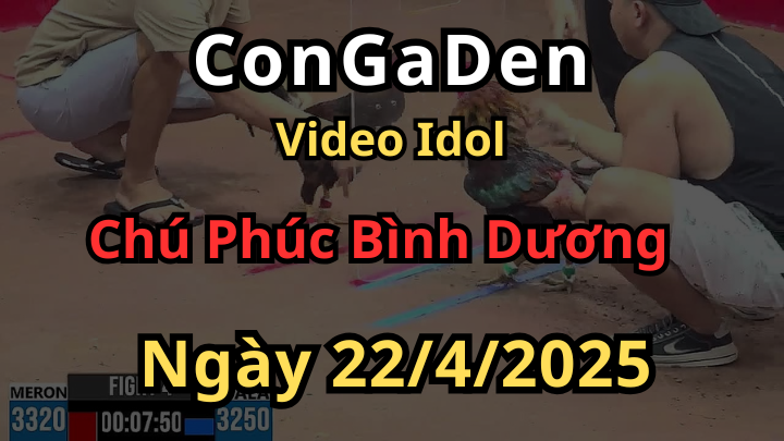 Các trận của Chú Phúc Bình Dương Ở Đá Gà CPC3 ngày 22/4/2025