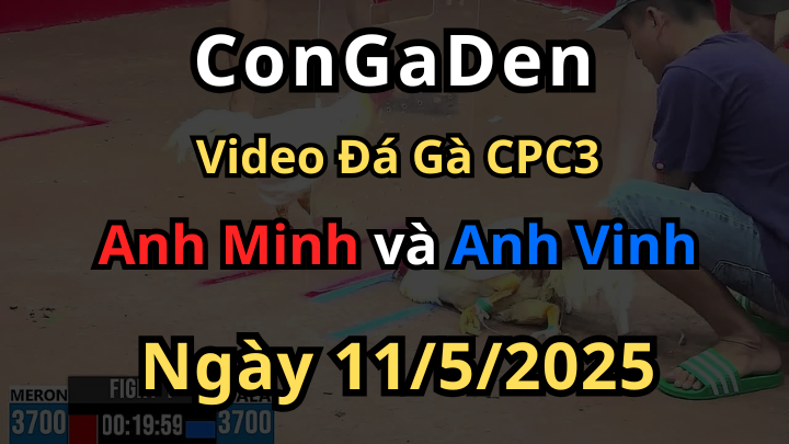 Anh Vinh mở bát lúa bể bồ CPC3 11/5/2025