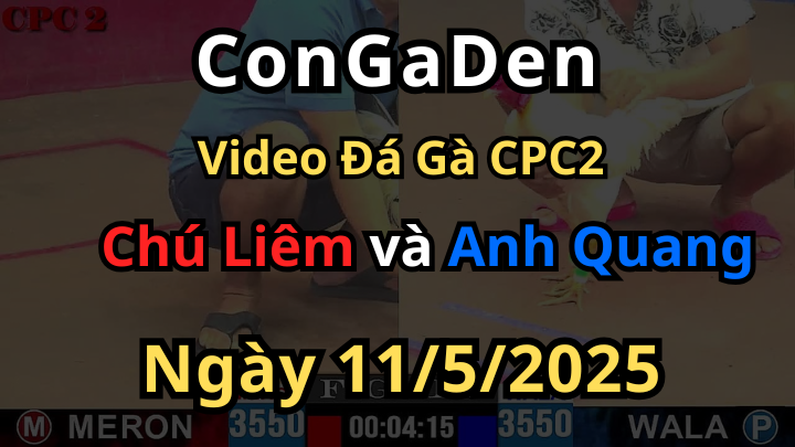 Bướm đỏ chấp đá 1 chân và cái kết CPC2 11/5/2025