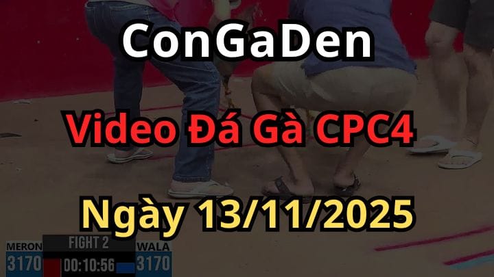 Video Trực Tiếp Đá Gà Thomo CPC4 ngày 13/11/2025 có bình luận