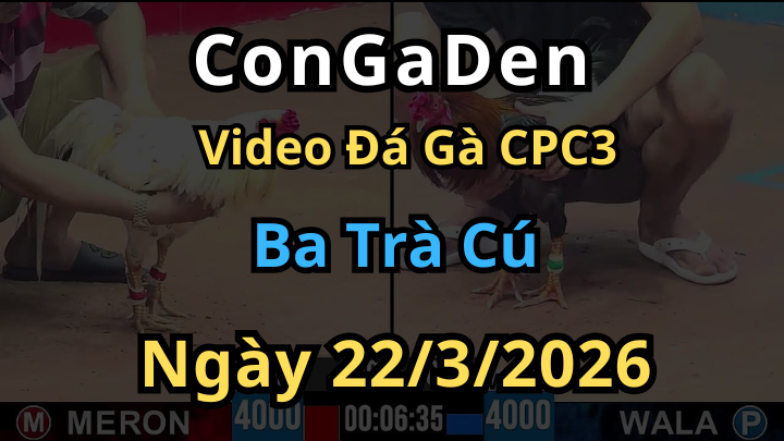 Tổng Hợp Các trận của Ba Trà Cú Tại CPC3 ngày 22/3/2026